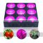 Hot Seller!Dual Lens Light Concentrated Led Plant Grow Light For Aquaponics