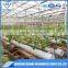 hydroponic systems hydroponic nft greenhouse hydroponic greenhouse systems