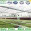 agriculture greenhouse rolling bench