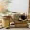 Handmade rustic style decorative cement succulent flower planter