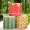 3 ply Fruit Watermelone Custom Printed Tissue Paper