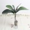 SJ013831 High quality real touch leaves from artificial phalaenopsis orchid flower/orchid leaves