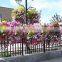 SOL Hydroponics Tiny Garden Planter Easy Fill Hanging Basket Vertical Grow System