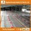 Heracles trade assurance poultry farm equipment automatic broiler feeding system