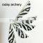 Striped Plastic Vanes Carbon Arrows with pin nocks