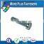 Made in Taiwan Machine Screw Slotted Cheese Head Material and Finishing Zinc Plating Plain Stainless Steel