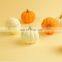 Halloween Pumpkin Fruit Candle Table Decor Quirky Food Vegetables Candle