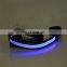 Fashionable solar and usb rechargeable led dog collar with leash