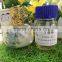 clove leaf bud oil100% purity with the lowest price