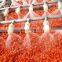Sinocharm BRC A Approved IQF Goji Berry Frozen Fresh Chinese Goji