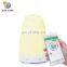 Portable Perfume Decorative Smart Echo Wireless Alexa App Controlled Aroma Mist Humidifier Home Diffuser Difusor
