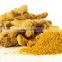 Organic Curcuma Extract 95% Curcumin powder Turmeric extract