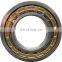 High Quality Full Complement Cylindrical Roller Bearing SL04 5009PP Bearing