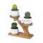 Round Desktop Decoration Ceramic Succulent Planter Plant Flower Pots Indoor Wood
