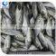 Bulk Packaging and Block Shape Horse Mackerel/Big Eye Scad