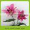 Fragrant aroma fresh lilies for home decoration