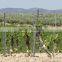 Best Price of Metal Vineyard Pole