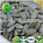 Form Pumpkin Seeds GWS (Grown Without Shell) Oil