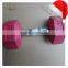 promotion cheap price olympic weight plate crossfit Professional barbell plates bar rack stand weightlifting