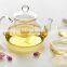 Hot sale home decoration famous borosilicate clear glass tea coffee set sale