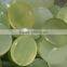 jade for sale