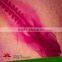 Lab Histology and Embryo of Kidney Microscope Biological Slides Individual slides you can choose from