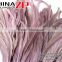 Leading Supplier CHINAZP Bulk Sale 35-40cm Length Cheap Dusty Pink Fully Dyed Rooster Chicken Feathers