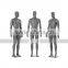Adjustable different poses plastic full body male mannequin