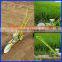 Single Line Onion Seeder Machine