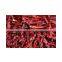 BRIGHT RED COLOUR INDIAN CHILLIES