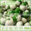 BRC Certified Natural Wasabi Coated Green Peas