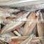 Wholesale Frozen Silver Sillago (Lady Fish)