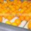 orangeA