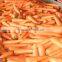 fresh Carrot shandong crop 80-150g in 10kg carton