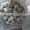 20156 new crop fresh garlic