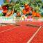 Natural Dry Goji Berry Healthy Berry