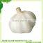 China fresh normal white garlic can provide