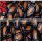 Melon Seeds of Original Taste