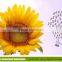 Consumption Sunflower Seeds 5009 New Crop2015