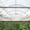 Commercial Greenhouse Plans