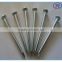 Competitive High Standard Galvanized Hardened Concrete Steel Nails