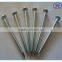 galvanized steel concrete nail/hardened concrete nail made in china