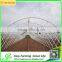 Used Galanized Steel Pipe Greenhouse for Sale