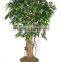 SJ2001022 Small potted foliage banyan tree landscaping decoraative garden tree