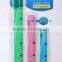 plastic folding ruler