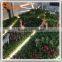 Factory Wholesale artificial grass wall decor covering plastic grass to Canada