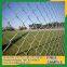 Bruny Island mesh fencing for dogs