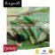 2016 design for fashion women garment /dress silk linen blended fabric