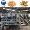 automatic nut cracker jujube hazelnut production line almond processing line almond cracking machine