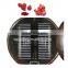Hot sale mango freeze drying equipment agricultural processing machine